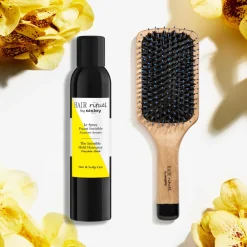 SISLEY PARIS Styling|Award-Winning Invisible Hold Spray and Radiance Brush Duo