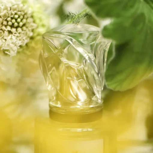 SISLEY PARIS L'Eau Revee D'Alma|L'Eau Revee D'Isa|L'Eau Rêvée d'Hubert 50ml