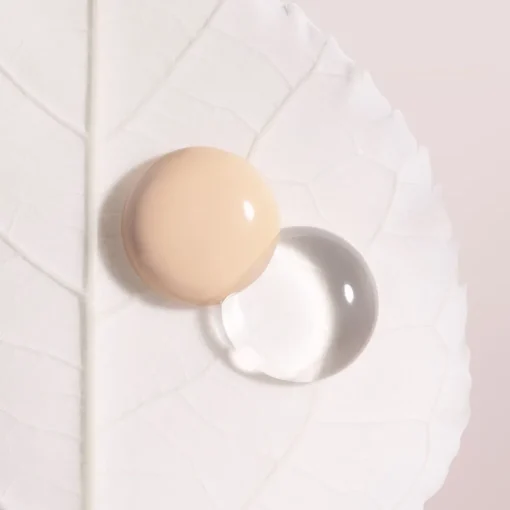 SISLEY PARIS Foundations|Phyto-Blanc Le Cushion 00C Swan