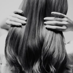 SISLEY PARIS Styling|Protective Nourishing Hair Collection