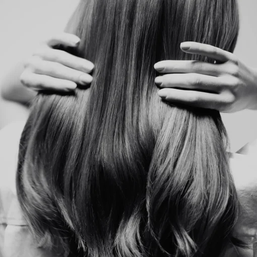 SISLEY PARIS Styling|Protective Nourishing Hair Collection