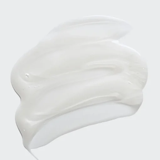 SISLEY PARIS Shampoo And Conditioner|Revitalizing Nourishing Shampoo with Moringa Oil 500ml