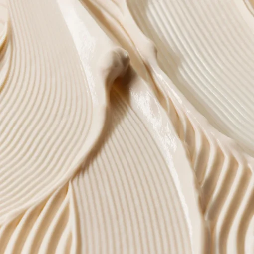 SISLEY PARIS Dryness & Dehydration|Lines & Wrinkles|Sisleÿa L'Integral Anti-Age