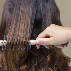 SISLEY PARIS Styling|The Blow-Dry Brush N°1