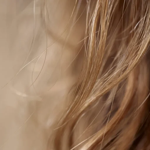 SISLEY PARIS Treatment|The Intense Nutrition Hair Care Mask